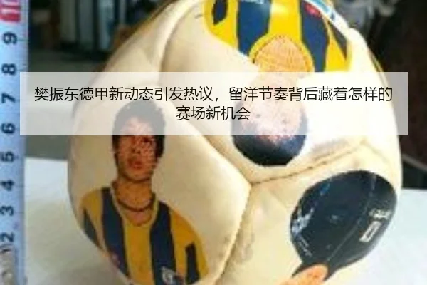 樊振东德甲新动态引发热议，留洋节奏背后藏着怎样的赛场新机会
